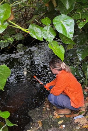 Water quality monitoring