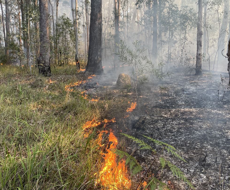 Council Bolsters Fire Mitigation Measures Noosa Shire Council 