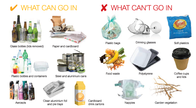 What can go in recycling